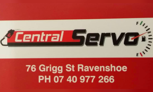 Central-servo