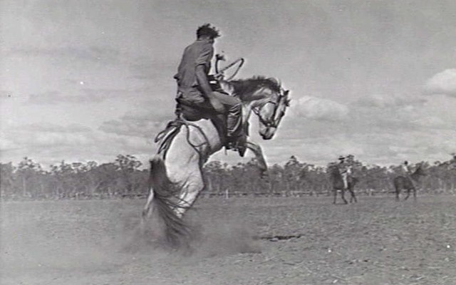 MOUNT GARNET, QLD. 1943-07-18. GOOD RIDING DURING THE 7TH AUSTRALIAN DIVISION RODEO